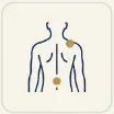 Lower Back Pain icon