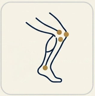 Knee Pain icon