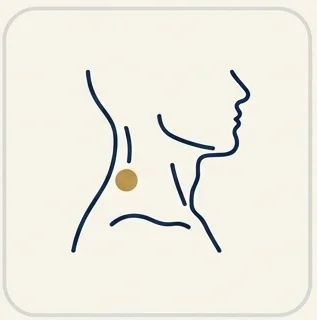 Neck Pain & Whiplash icon